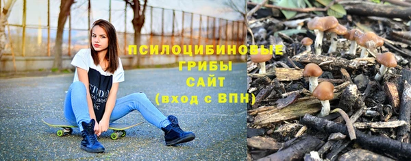 spice Медногорск