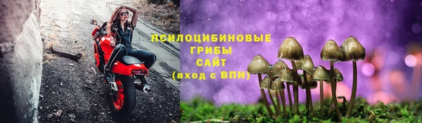 spice Медногорск