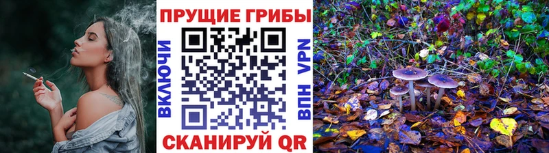 Галлюциногенные грибы мицелий  MEGA сайт  Георгиевск 