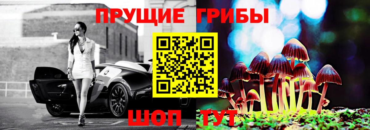 Георгиевск  Псилоцибиновые грибы Psilocybine cubensis  Вход с VPN 