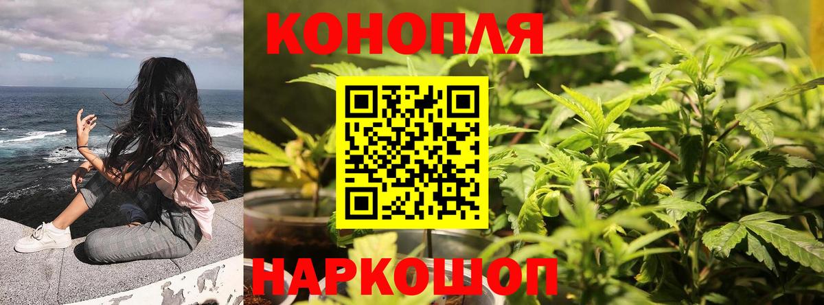 МАРИХУАНА VHQ  Бошки марихуана VHQ  Вход с VPN  Канабис White Widow  МАРИХУАНА White Widow  Георгиевск 